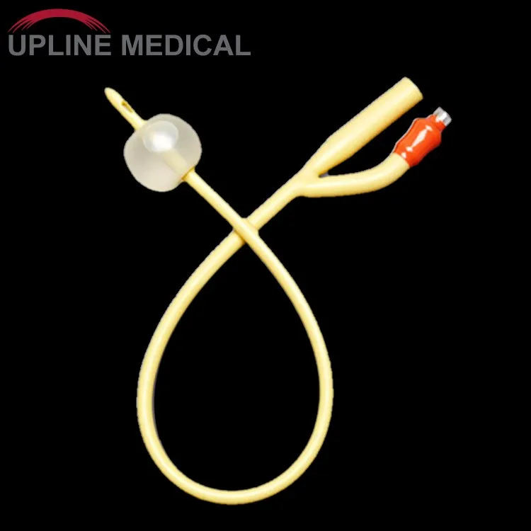 double lumen foley catheter