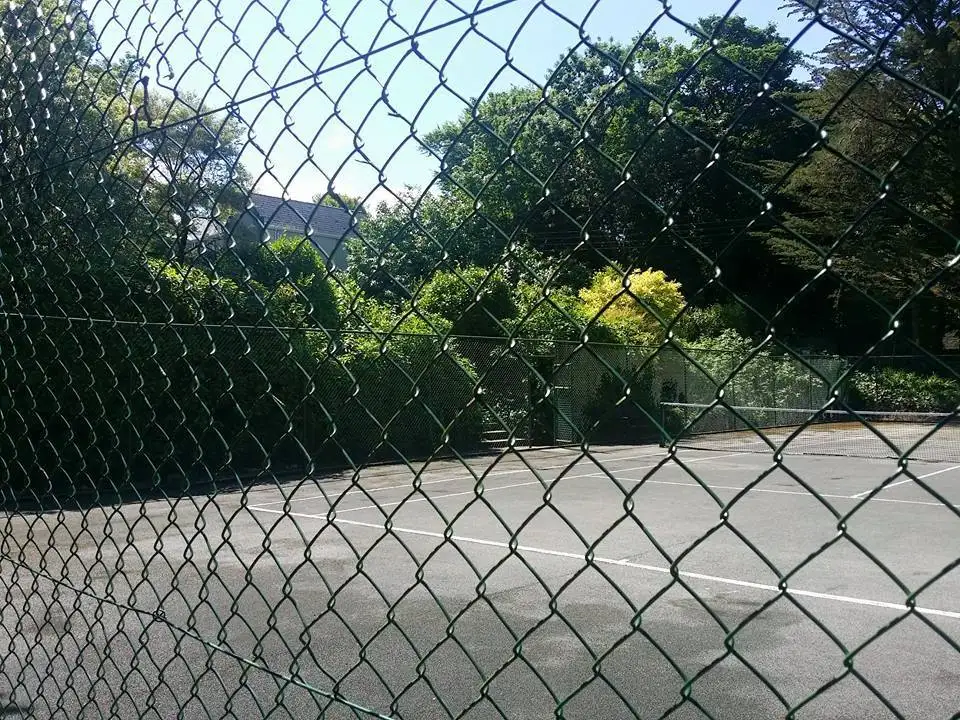 High tensile security Chain Wire Black PVC Coated 1.5 High tensile security chain link fence made in china