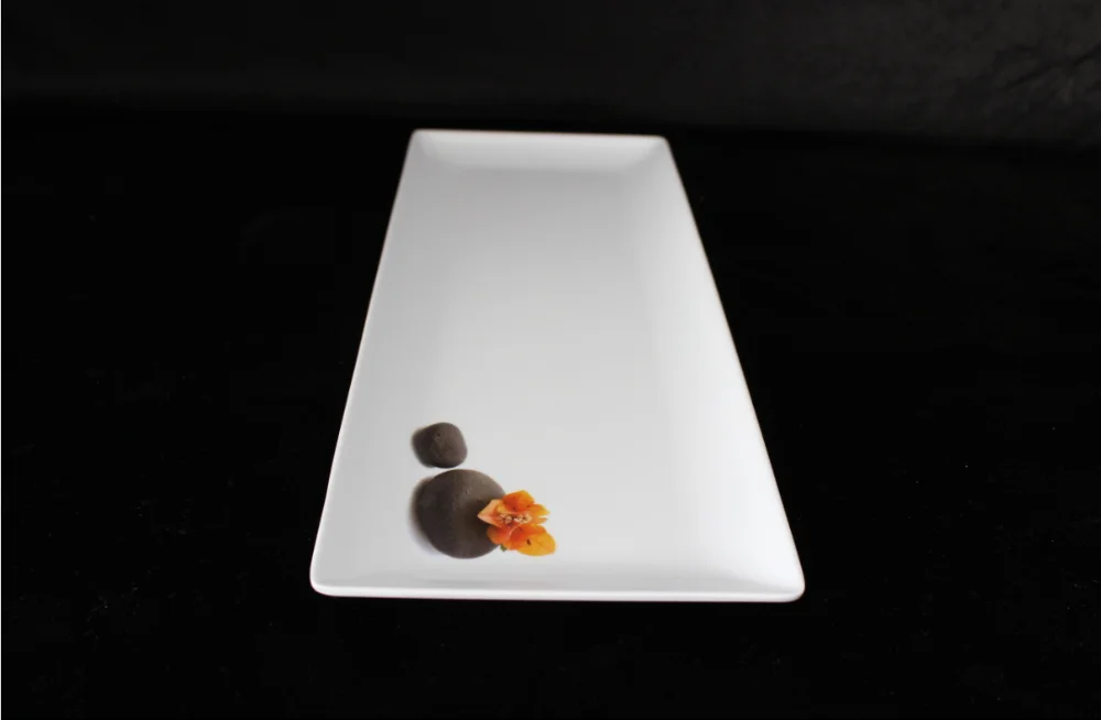 15.8inch melamine sushi plate