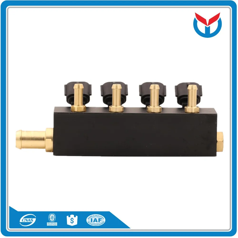 lpg cng injector rails (4)