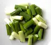 frozen spring onion