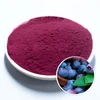 Hot sale fruit flavor instant juice powder drink blueberry flavor