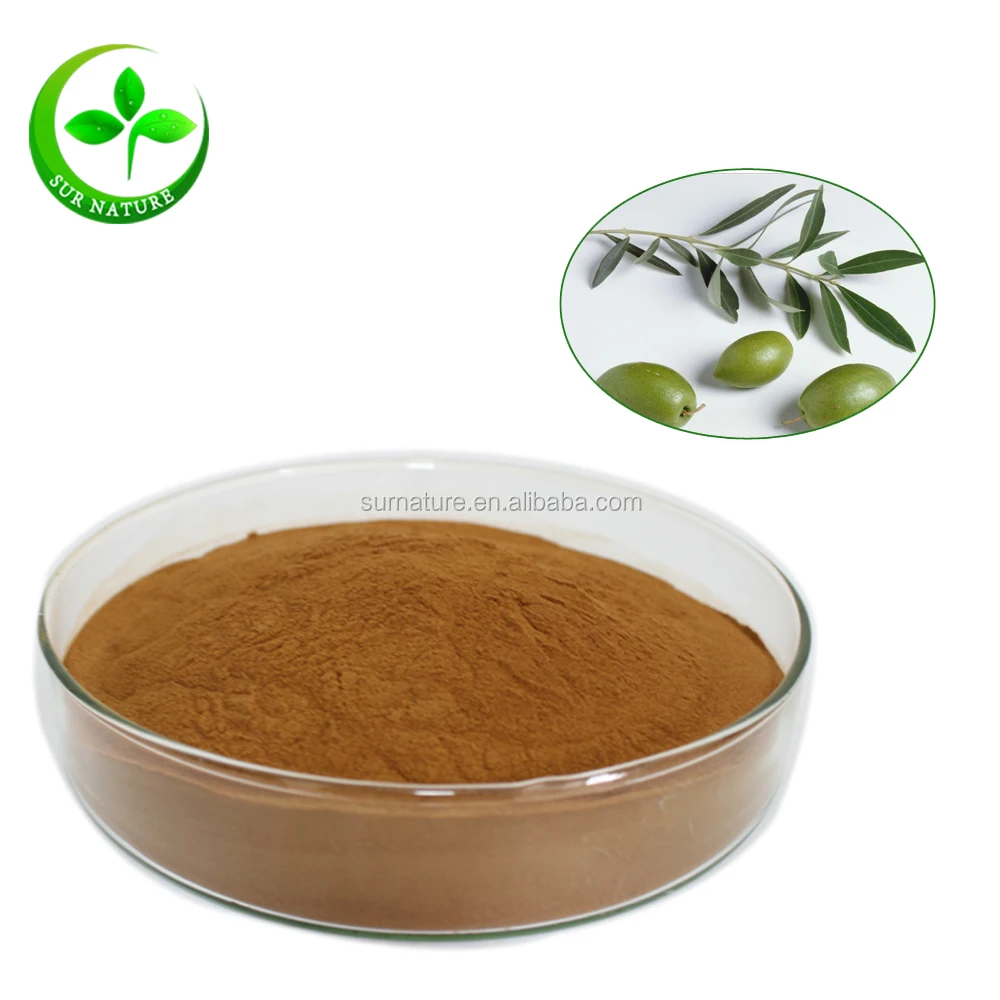 Factory Supply 100 Natural Olive Leaf Extract Powder Hydroxytyrosol And Oleuropein In Bulk