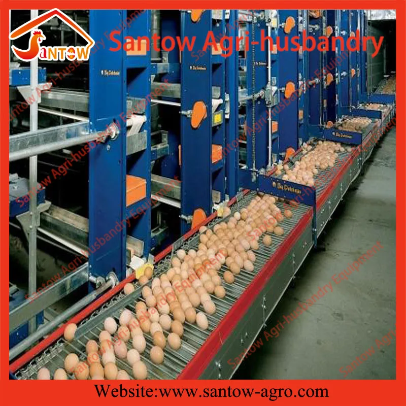 A Type Battery Cage 4 Tier Chicken Layer Cages How To Build A Chicken