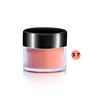 RONIKI OEM Free Samples Queen Shining Sand Painting Dipping Powder UV Nail Powder