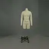 DL1405 XS SIZE half body dressmaking mannequins for lady, Good body shape dress form adjustable with shoulders