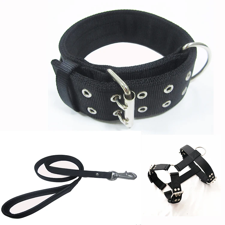 nylon dog collar leash and harness