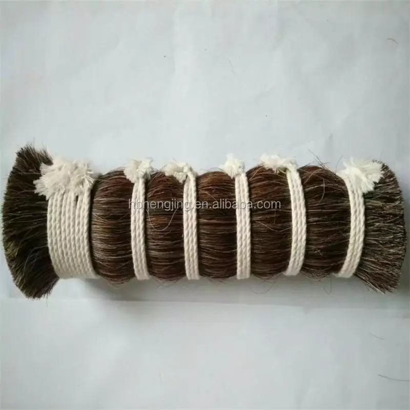 Horse mane hair 1.jpg