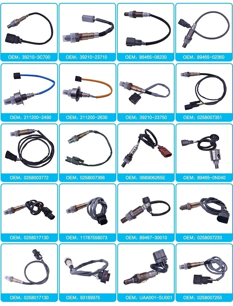 oxygen sensor.jpg