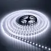 Good price 12v led light strip 3528 warm white flexible tube light diffuser free Sample