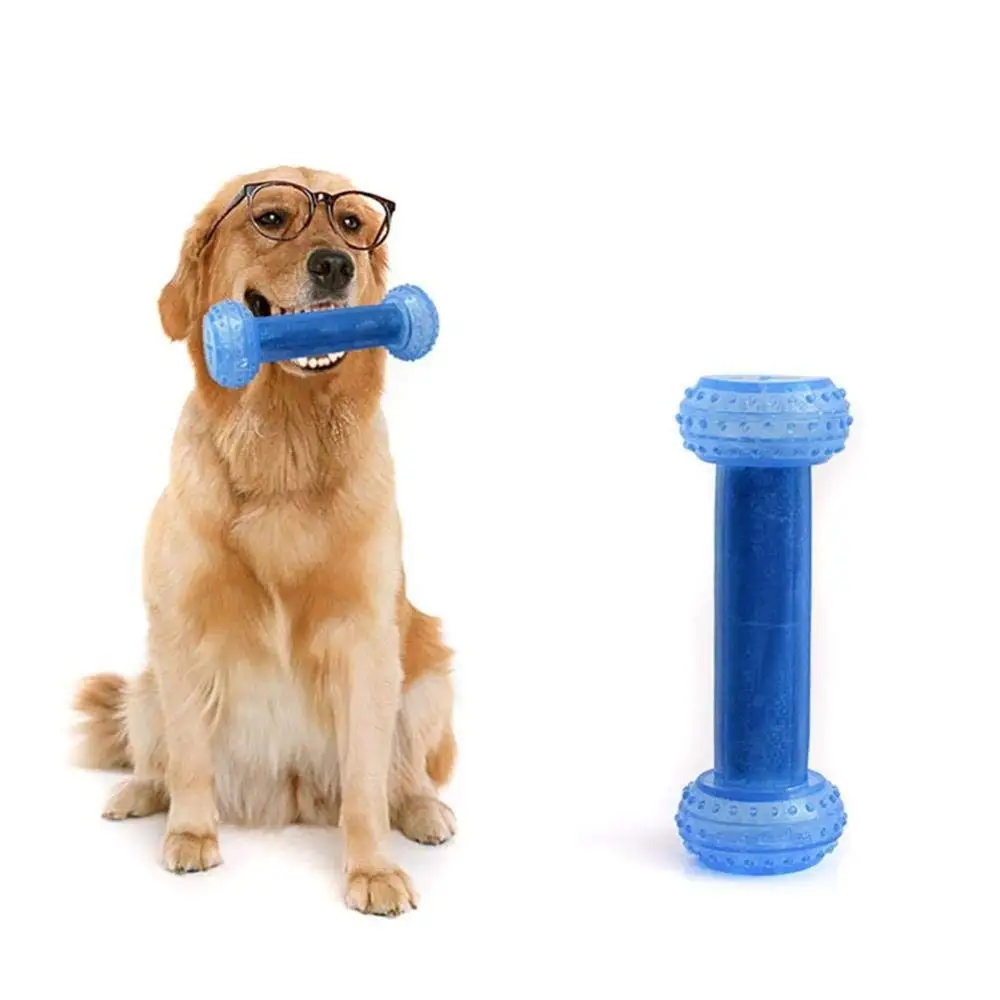 dog toy deals