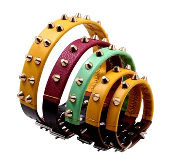 colored leather dog collars