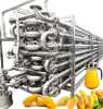 A complete mango and pineapple production plant/Fruit juice processing line