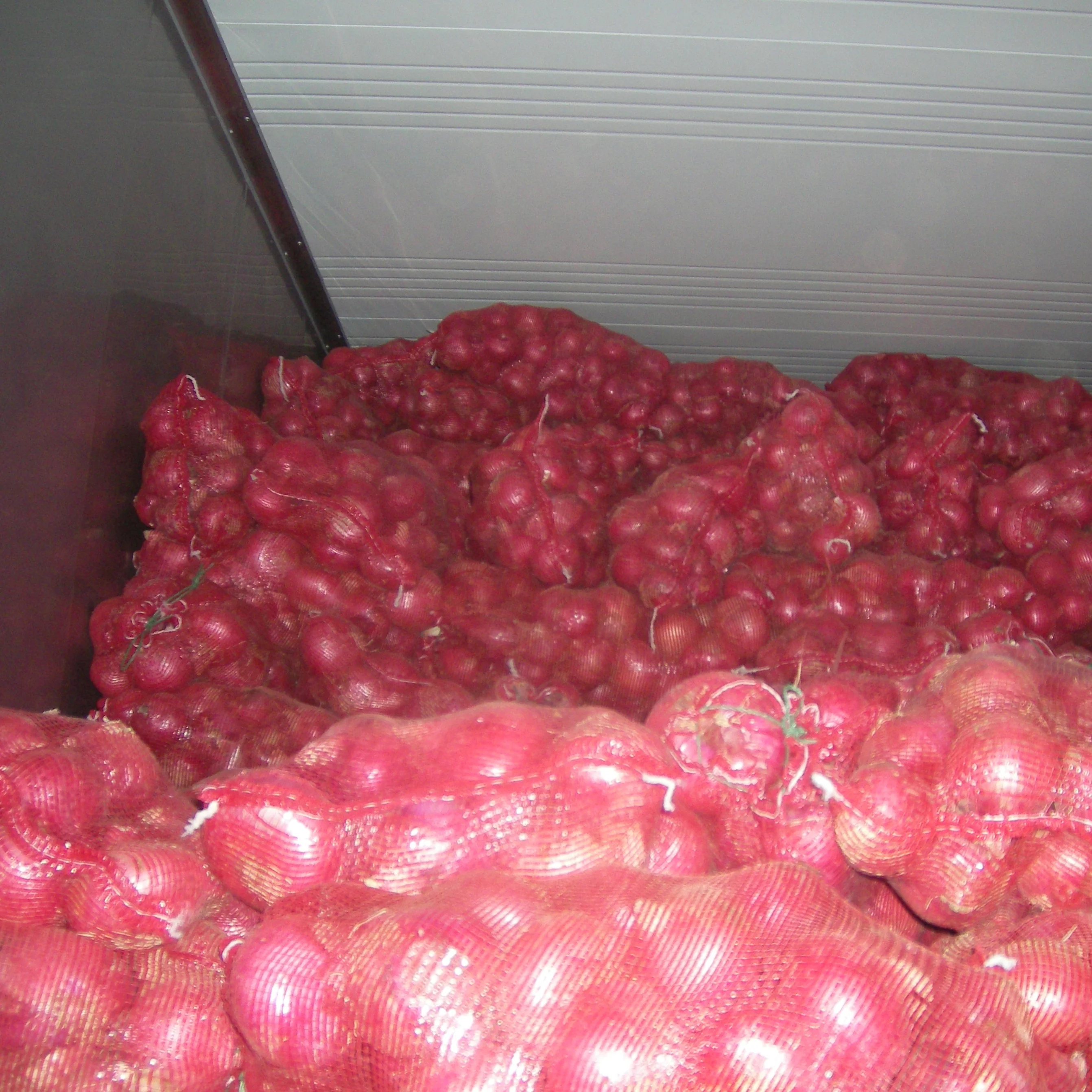 red onion in container.jpg