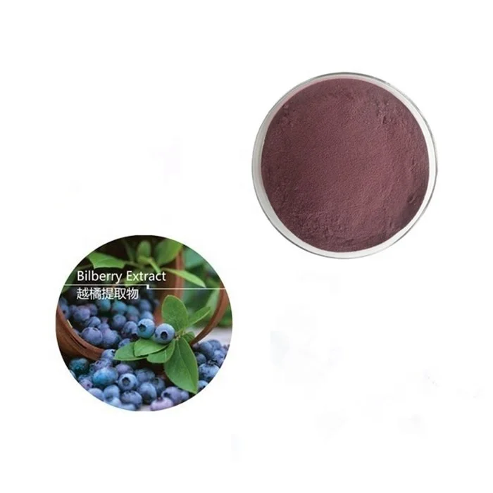 Organic Blueberry Extract Powder Blueberry Extract 20 25 Anthocyanin