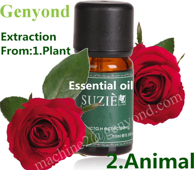 ultrasonic dynamic extraction and concentration unit
