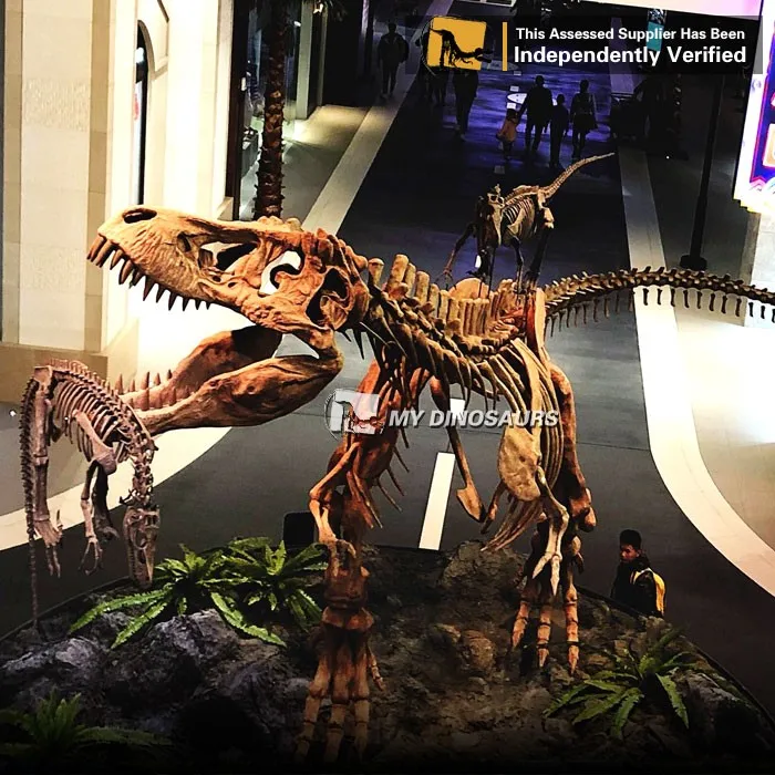 life size dinosaur skeleton for sale