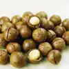 2019 Fresh macadamia nut seeds for growing