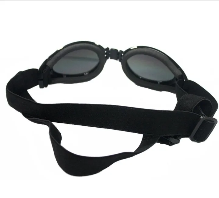 cheap dog sunglasses.JPG