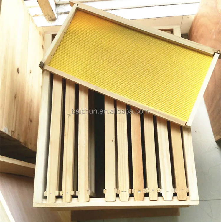 beehive frame.jpg