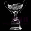 New Design Crystal Trophy Cup