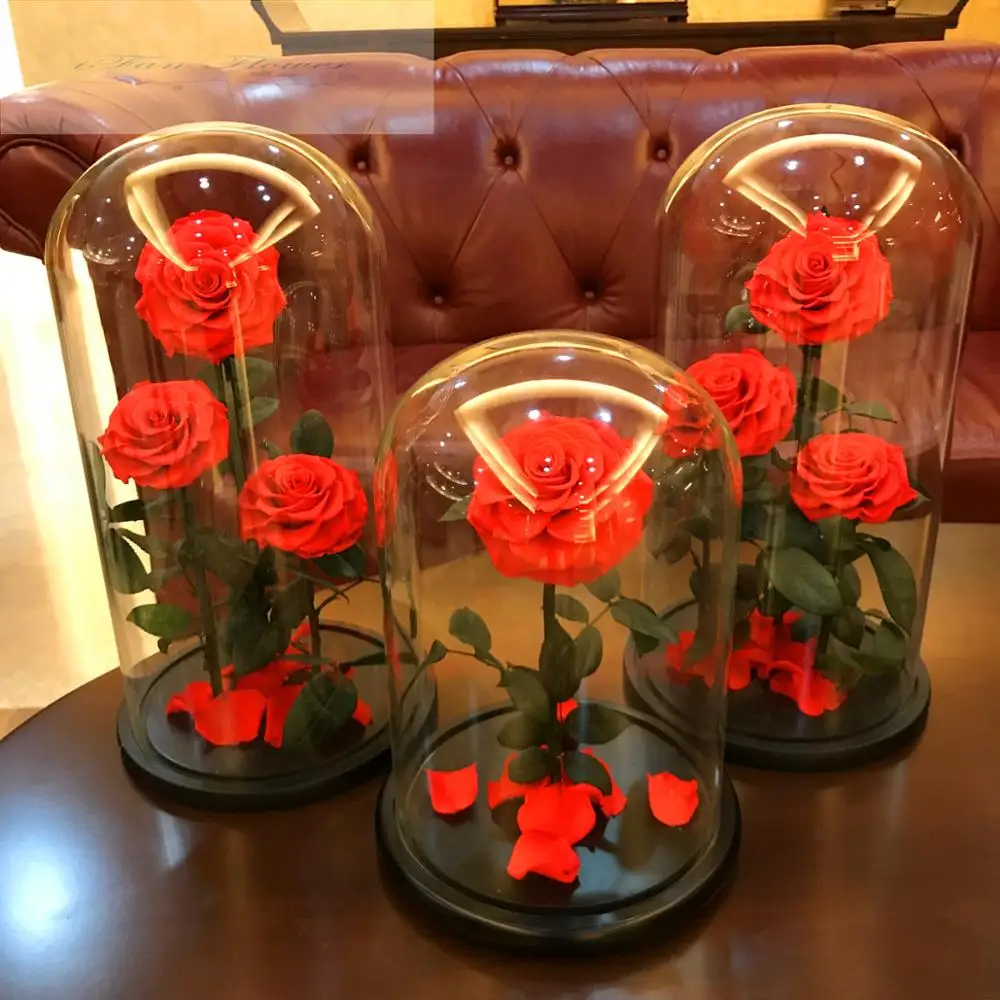 Preserved Flower Real Multi Color Rose 100 Fresh Natural Long Life Real Preserved Rose In Glass