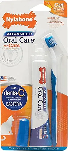 Nylabone Advanced Oral Care Dental Kit