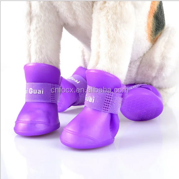 cat in rain boots