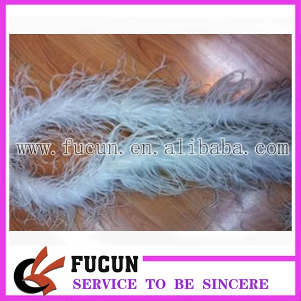 ostrich feather boa.jpg