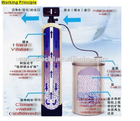 1000L/h Ion Exchange Resin Water Softener for Remove Water Hardness