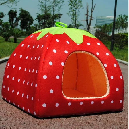 strawberry cat bed