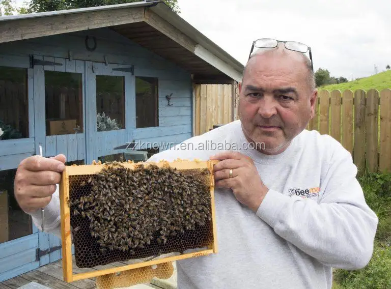 Oem New Design Queen Bee Artificial Insemination Kit/insemination On