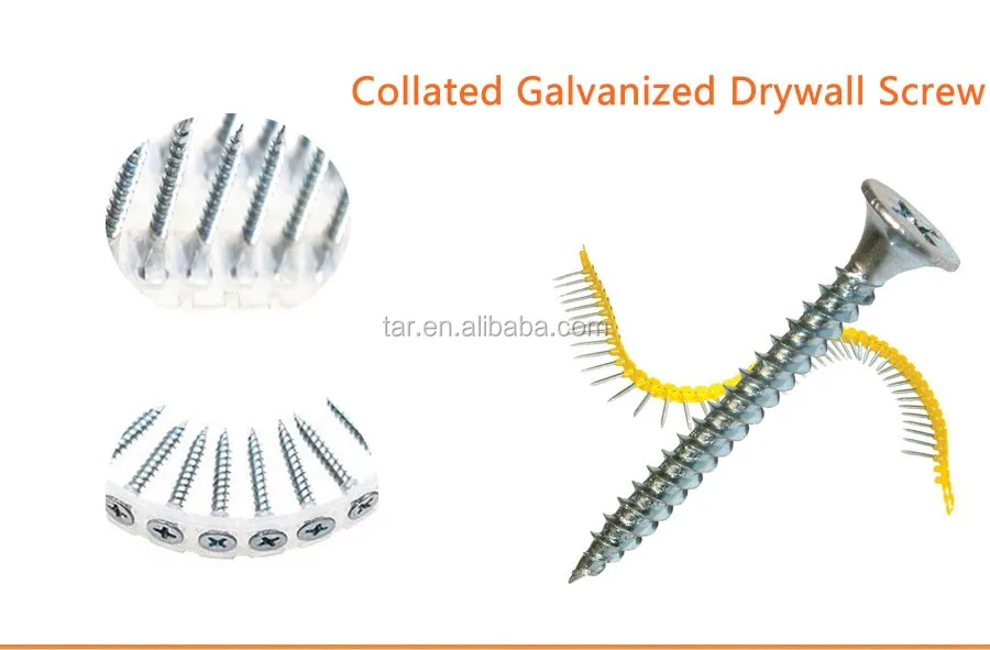 Drywall Collated Screw,Plastic Strip Collated Gypsum Board Screw