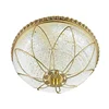 Adjust Color Temperature Interior Lighting Bluetooth Ceiling Light Led