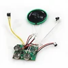 Customized programmable recordable sound chip module for baby book and plush toys