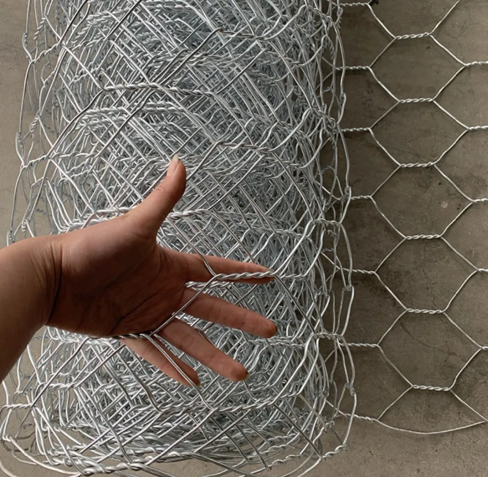 Cheap Price Galvanized Bird Cage Welded Wire Mesh Roll And Panel Buy Galvanized Welded Wire