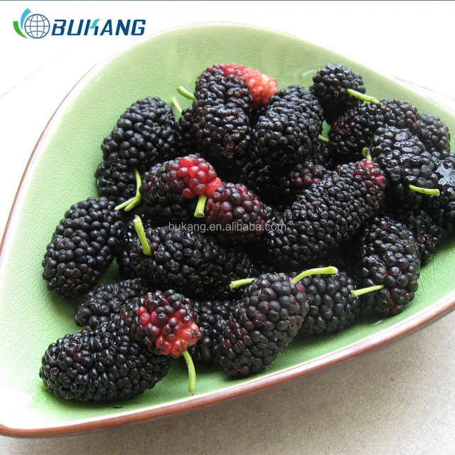 fresh frozen mulberries