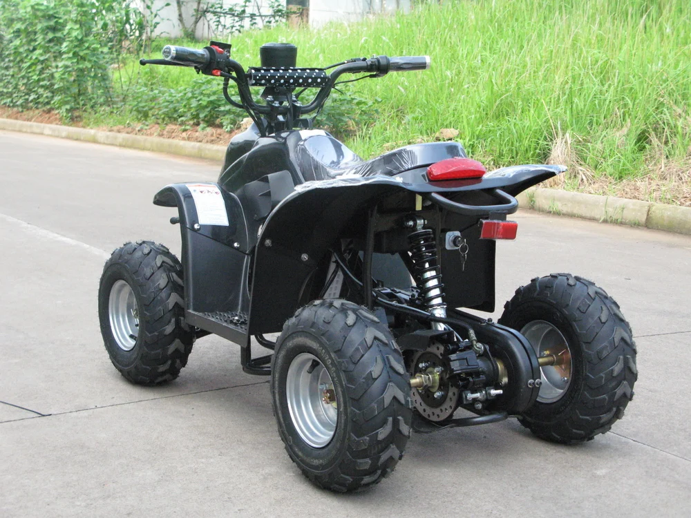 Cheap 800w 1000w Mini Electric Atv Buy Mini Electric Atv,Mini Electric Atv,Electric Atv For