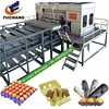 High Quality Egg Tray Make Machine Egg Tray Machine Production Line Egg Packing Box Maker FC-ZMG6-48 with CE and ISO certificate