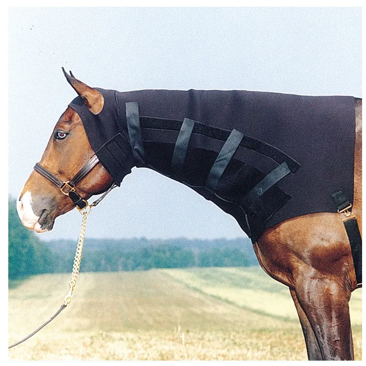 2020 Promotional Products Horse Accessory High Neck Horse Rugs Buy