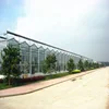 Large Area Multi Span Automatic Glass Green House For Agriculture In The Tropics