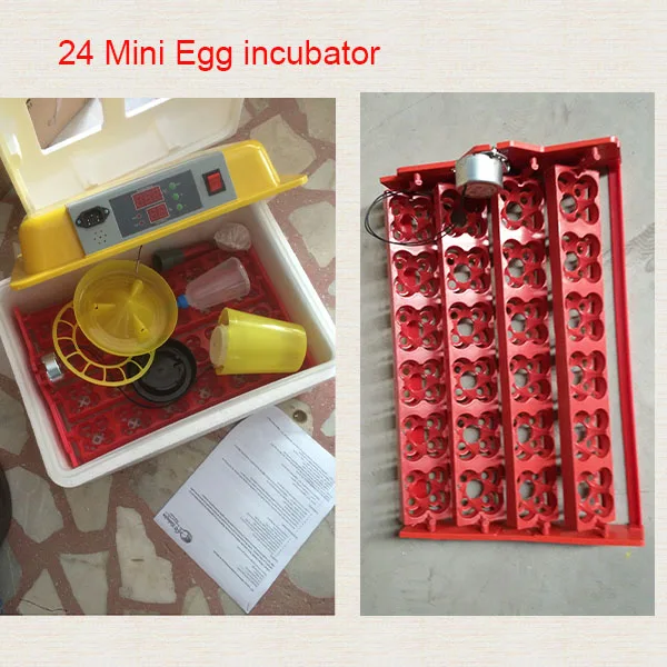 How to lower humidity in egg incubator