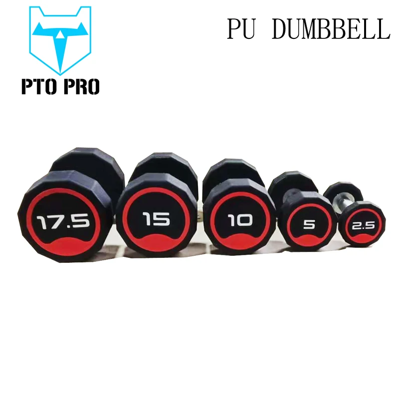 
hot sale 10kgs dumbbell set stainless steel dumbbell with cheap price 