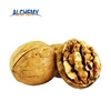 China Supplier high quality walnut sorting thin skin for sale