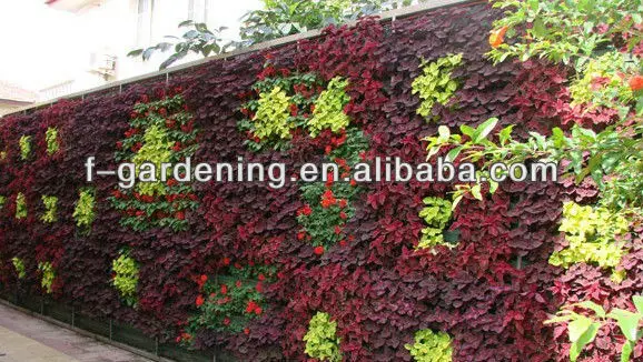 Vertikale hängen Grüne wand garten pflanzer SL-XQ3319 Outdoor Vertical