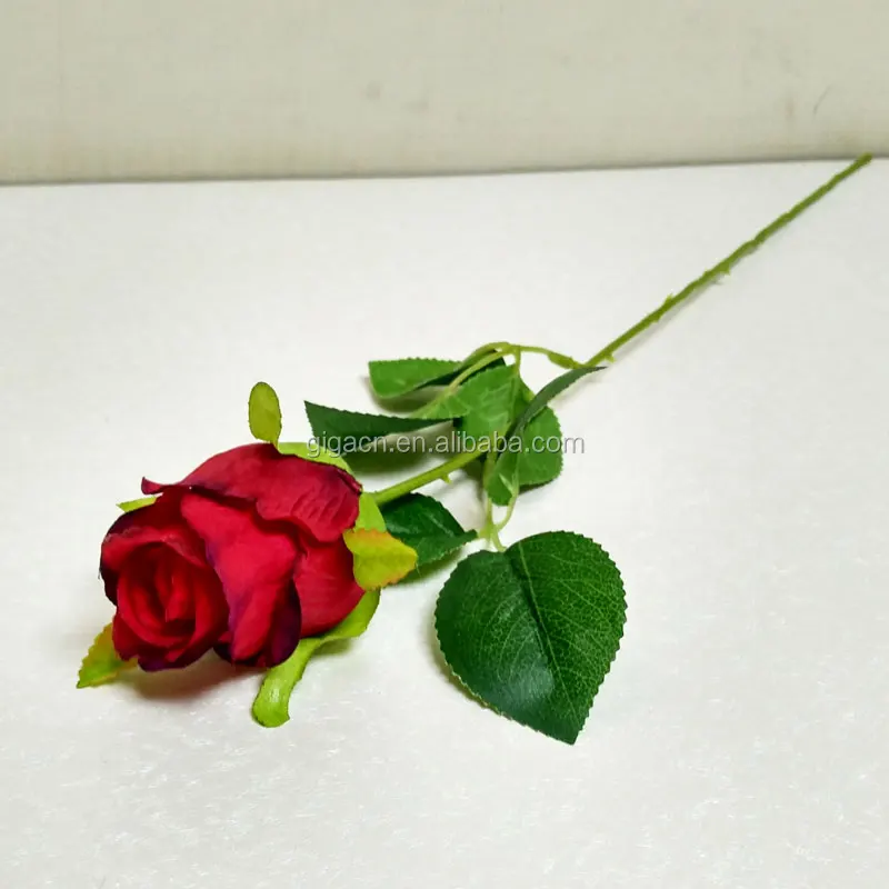 Pernikahan Alami Mawar Bunga Mawar Yang Indah Bunga Foto Buy Indah Bunga Mawar Foto Alami Mawar Bunga Rose Bunga Pernikahan Product On Alibaba Com