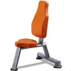 Life Fitness Gym Equipment XR-7739 Adjustable Degree Bench for Body Solid
