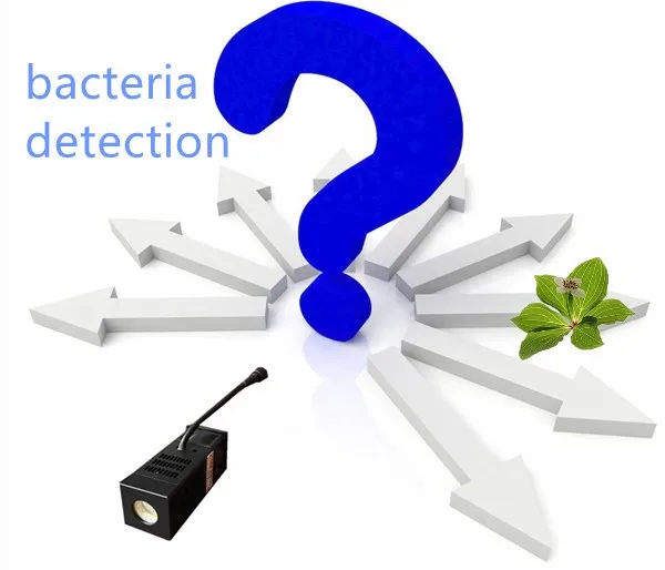 mini UV bacteria detection 260-270nm uv LED torch-8