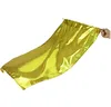 Metallic Praise worship flag with Rod