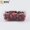 500g Disposable blister plastic clamshell fruit packaging box with clear hinged lid